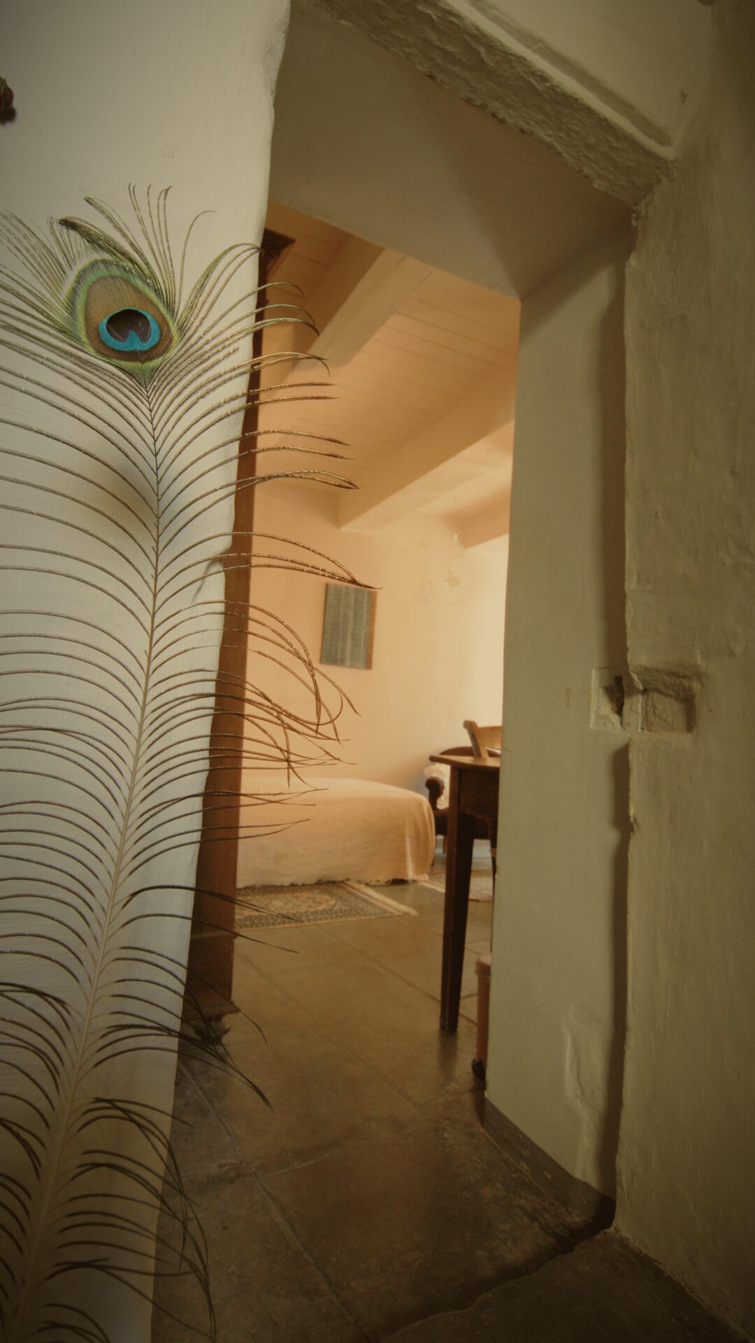 Entrée et porte de la Chambre Rose