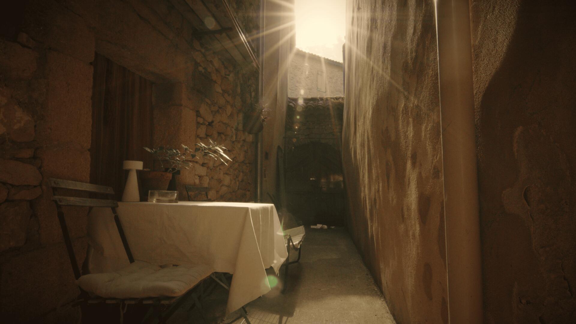 Cour intérieure ombragée de la Chambre Rose